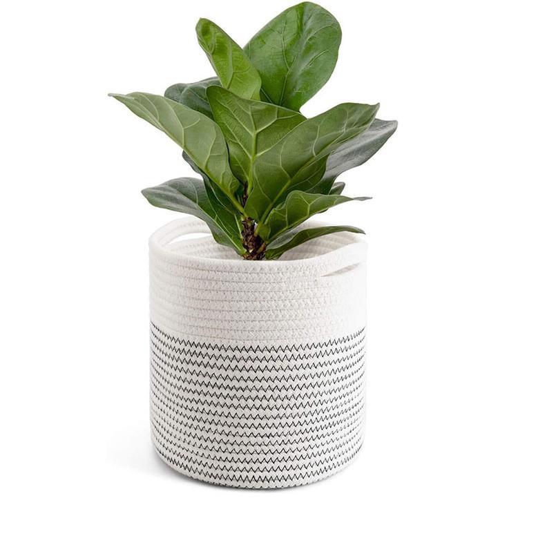 Cotton Rope Indoor Plant Basket for Storage and Organization