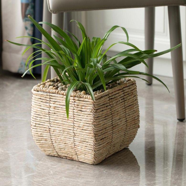 Eco-Friendly Plant Pot for Stylish Indoor and Outdoor Gardening