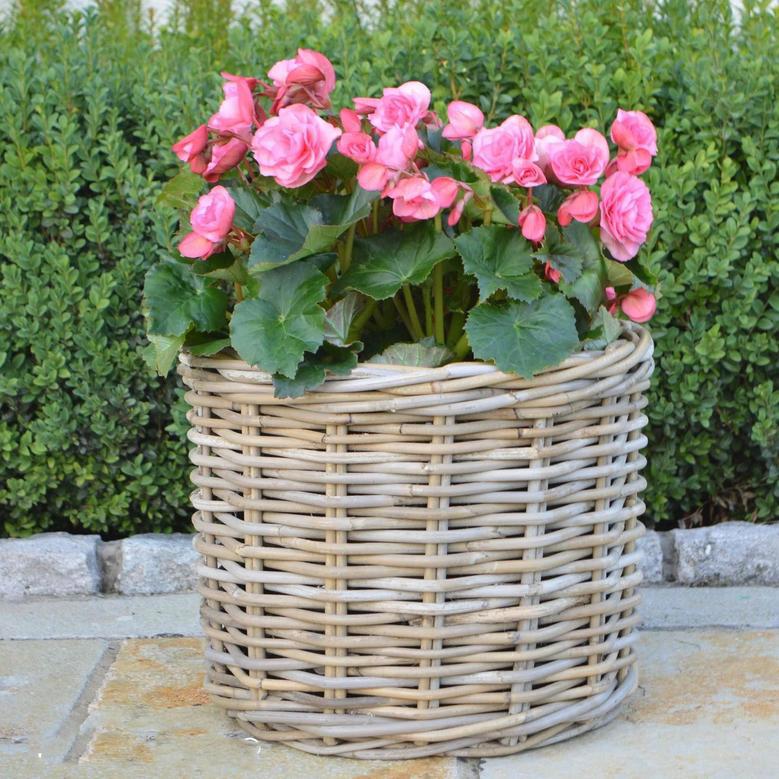 Elegant Handmade Wicker Rattan Flower Pot for Home and Garden