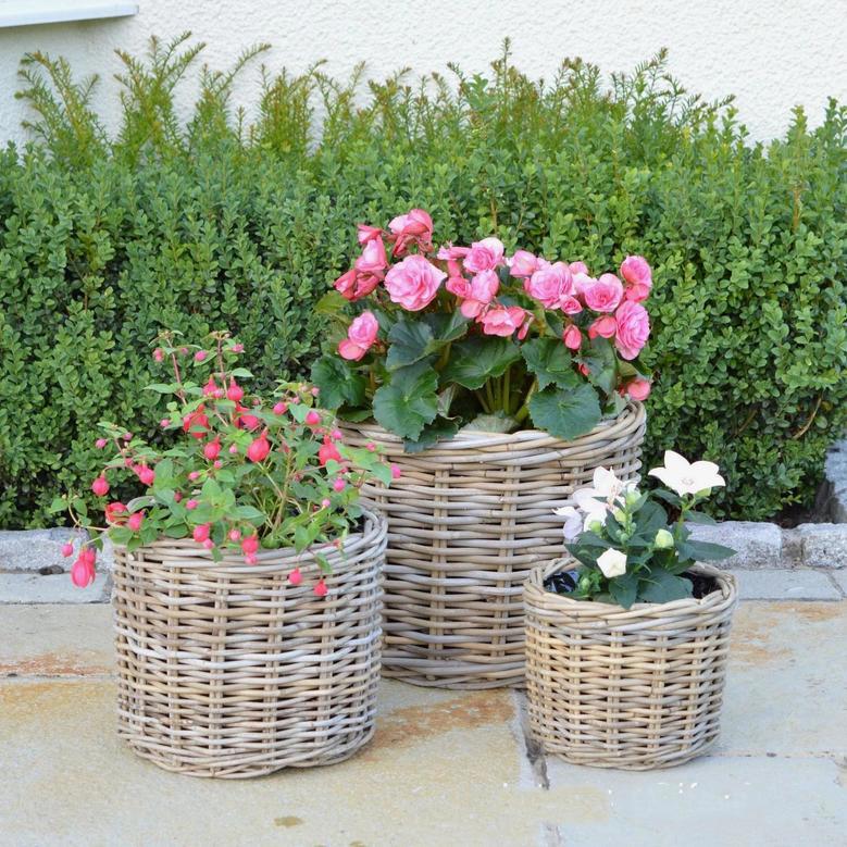 Elegant Handmade Wicker Rattan Flower Pot for Home and Garden