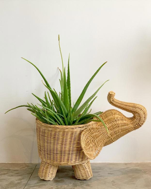 Handmade Wicker Elephant Planter for Home Decoration