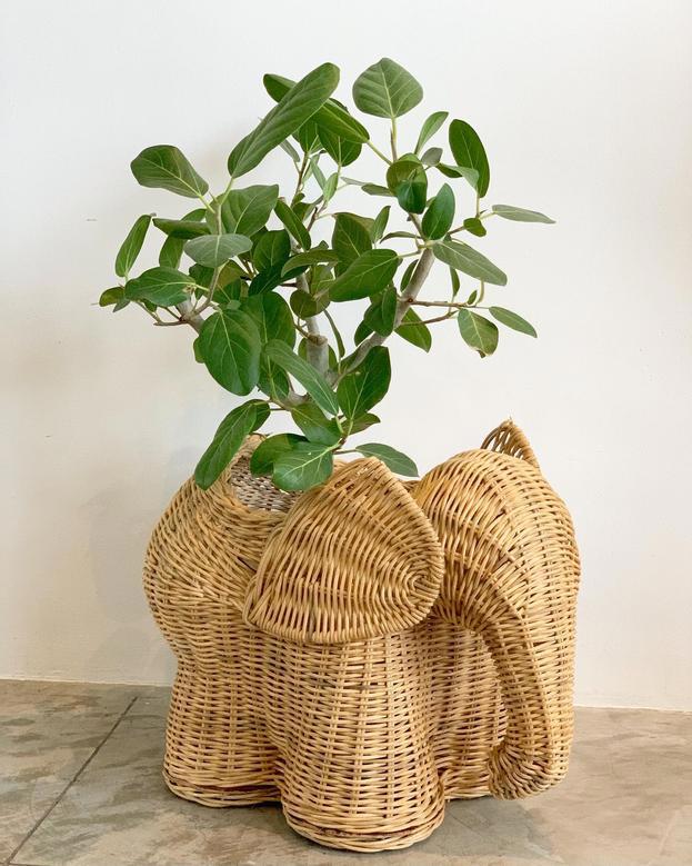 Handmade Wicker Elephant Planter for Home Decoration