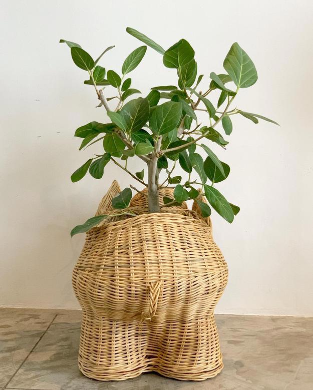 Handmade Wicker Rattan Elephant Planter for Home Decoration