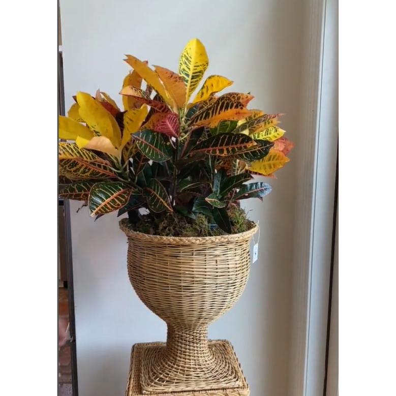 Handmade Wicker Urn Plant Pot Holder for Stylish Home Decor