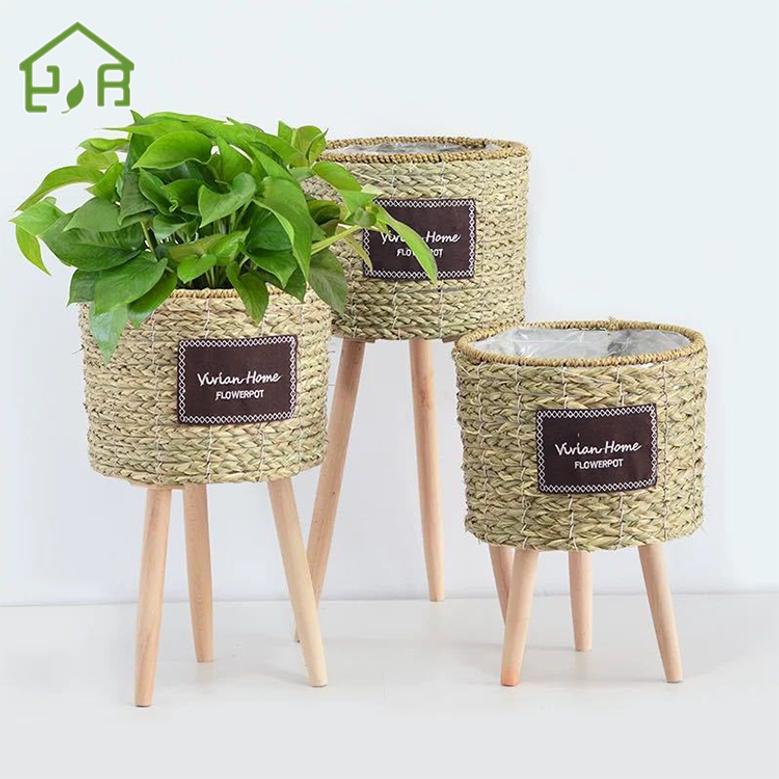 Stylish Indoor Plant Stand for Your Home Decor