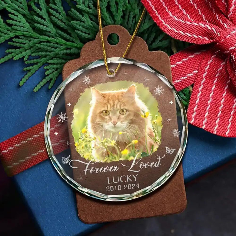 Touching Memorial Pet Ornament For Pet Lovers - Personalized Dog Cat Loss Gift