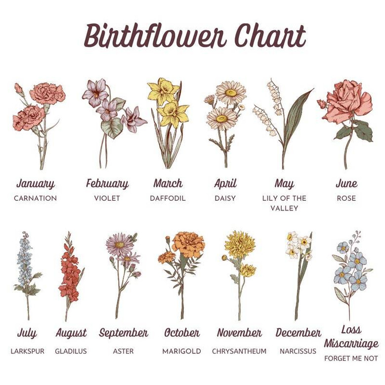 Birth Month Flower Canvas - Personalized Grandma's Garden Gift Birth Month Flower Canvas - Personalized Grandma's Garden Gift