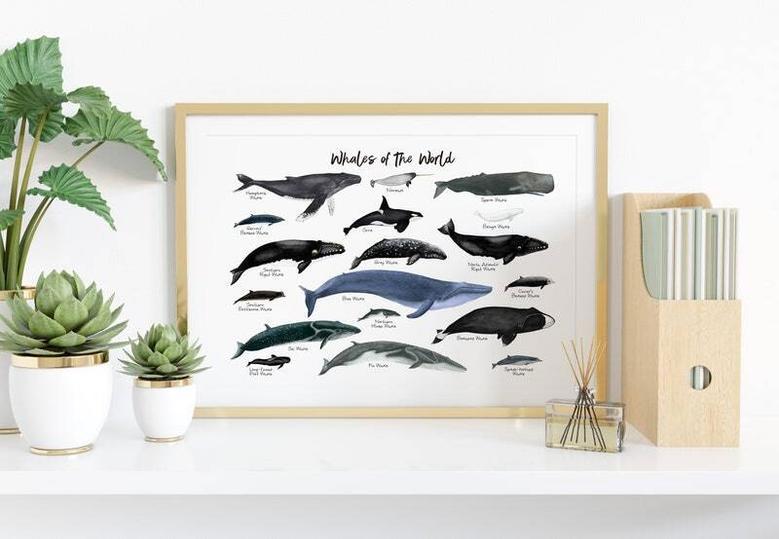 Nautical Whale Nursery Art Canvas - Thoughtful Ocean Mammal Wall DéCor Nursery Gift