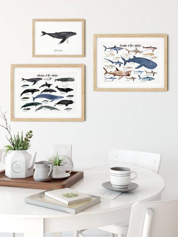 Nautical Whale Nursery Art Canvas - Thoughtful Ocean Mammal Wall DéCor Nursery Gift