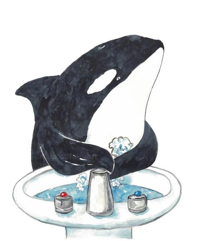 Adorable Whale Nursery Art Canvas For Baby Bathroom Decor