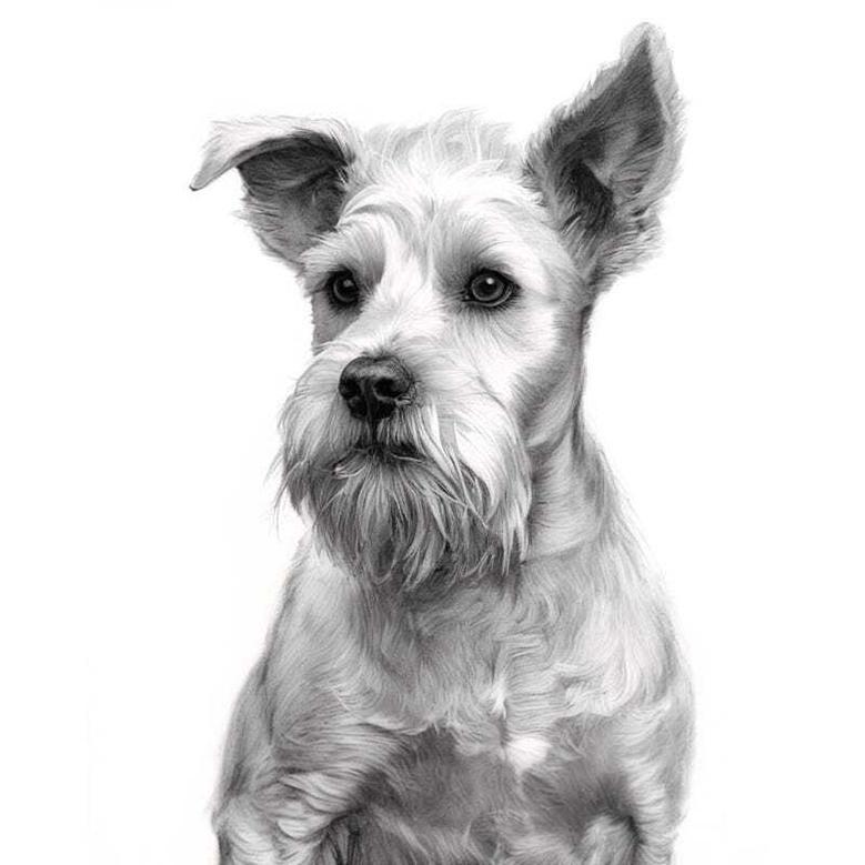 Custom Dog Canvas - Pencil Sketch Portrait For Dog Owners, Perfect Gift For Dog Dad Or Mom, Multiple Dogs Option