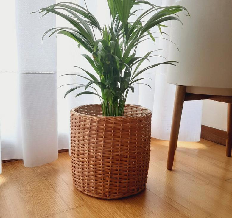 Beautiful Natural Rattan Woven Wicker Planter Pot for Living Room