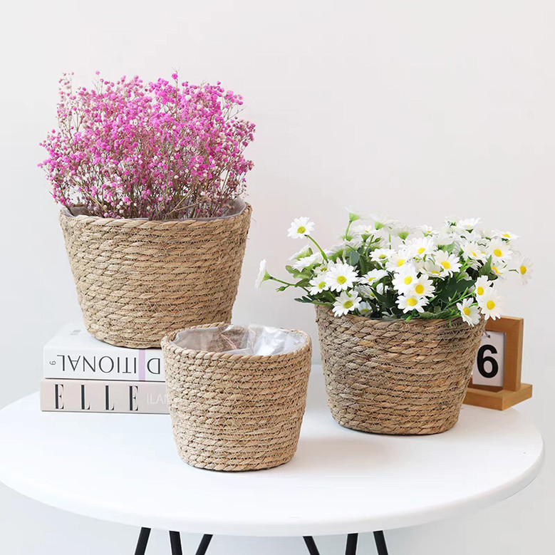 Custom Size Small Seagrass Baskets for Succulent Plants