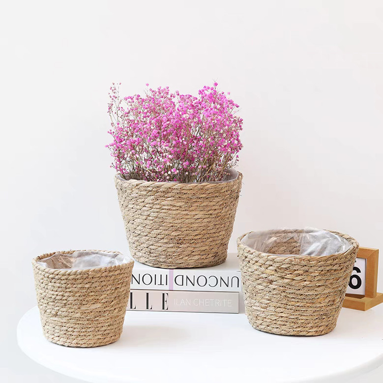 Custom Size Small Seagrass Baskets for Succulent Plants