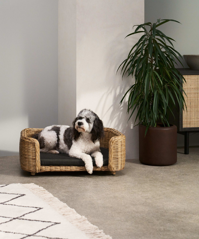 Elegant Woven Rattan Pet Bed for Cats and Dogs