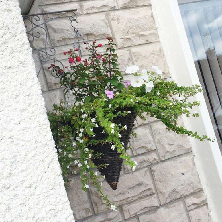 Handmade Decorative Wicker Baskets for Flowers