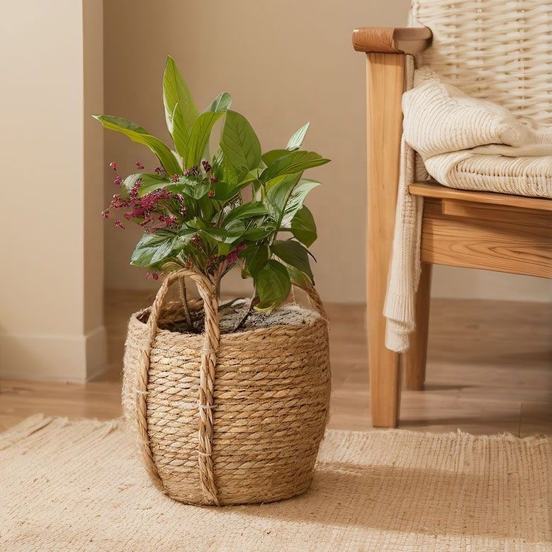 Handmade Woven Seagrass Basket with Handles for Home