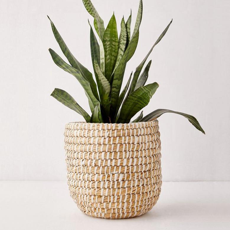 Mini Seagrass Woven Planters and Storage Baskets