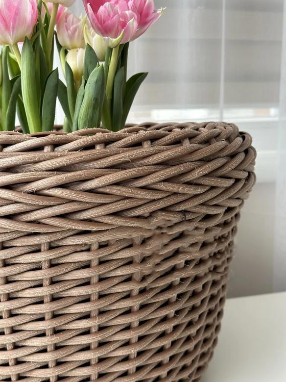 Minimalist Rattan Woven Planter for Houseplants