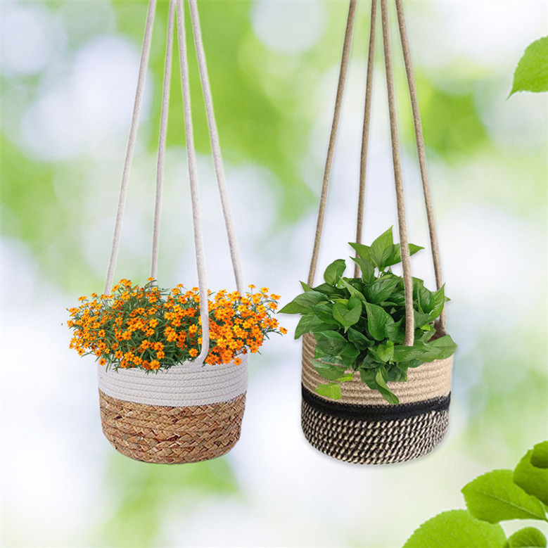 Modern Hanging Flower Planter for Outdoors or Window