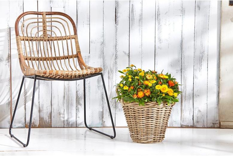 Natural Rattan Wicker Flower Planter Basket for Gardens