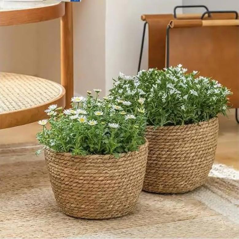 Natural Seagrass Gardening Basket for Plants