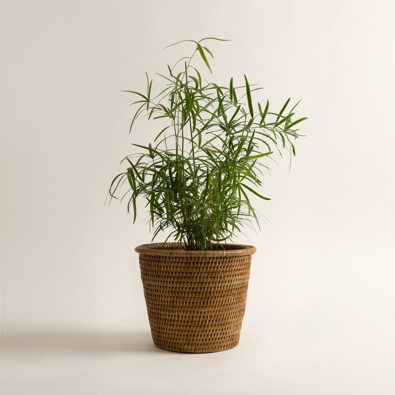 Retro Rattan Plant Pot for Home Decoration