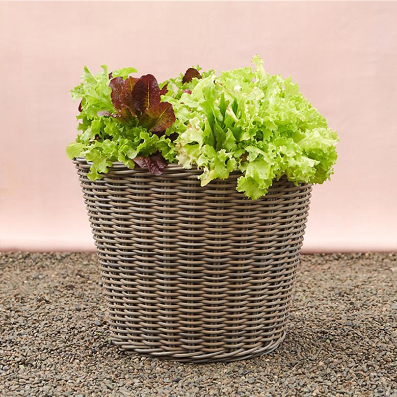 Rustic Wicker Taper Planter for Gardens