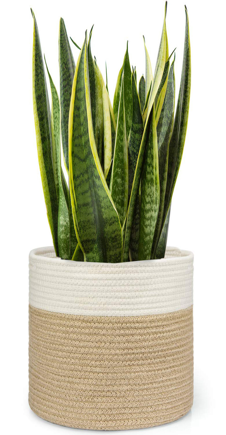 Stylish Beige Cotton Rope Planter Baskets for Storage