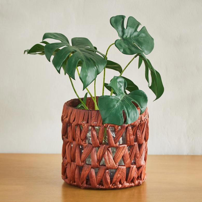 Stylish Indoor Water Hyacinth Plant Pots