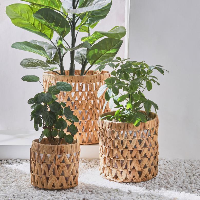 Stylish Indoor Water Hyacinth Plant Pots