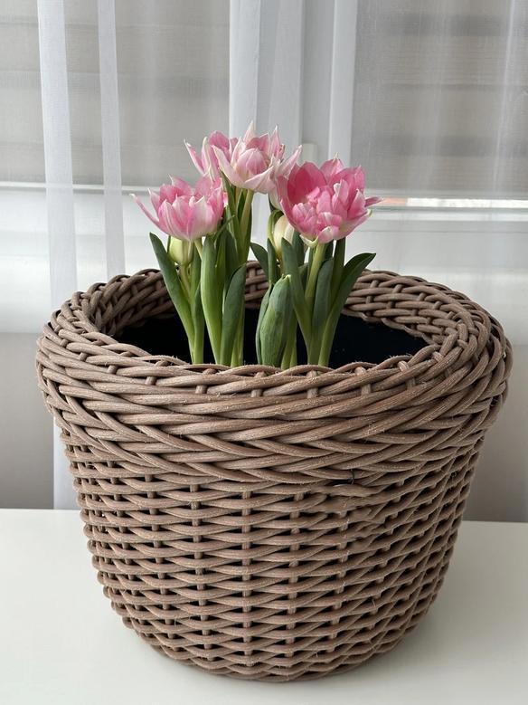 Stylish Rattan Planter for Outdoor and Houseplants