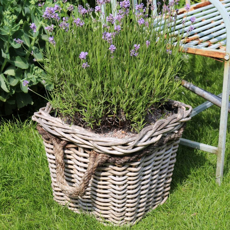 Versatile Rattan Planter Pots for Home and Garden