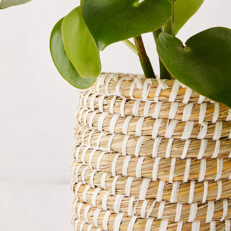 Woven Seagrass Mini Planters and Storage Basket