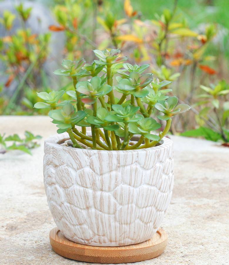 Charming Small Ceramic Plant Pot for Office & Garden Decor | White, Pink Ceramic Plant Pot