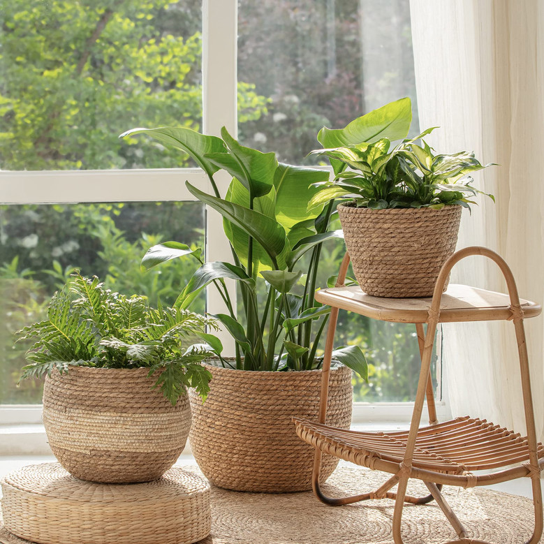 Eco-friendly Jute Plant Pots for Home and Garden