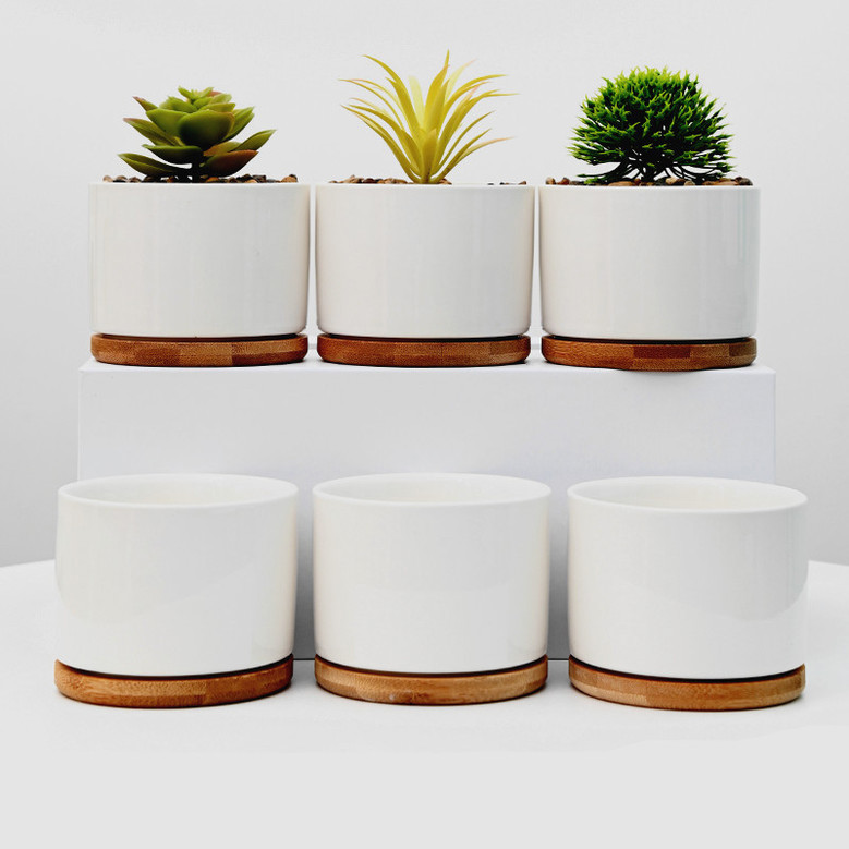 Elegant White Ceramic Plant Pots for Succulent Plants