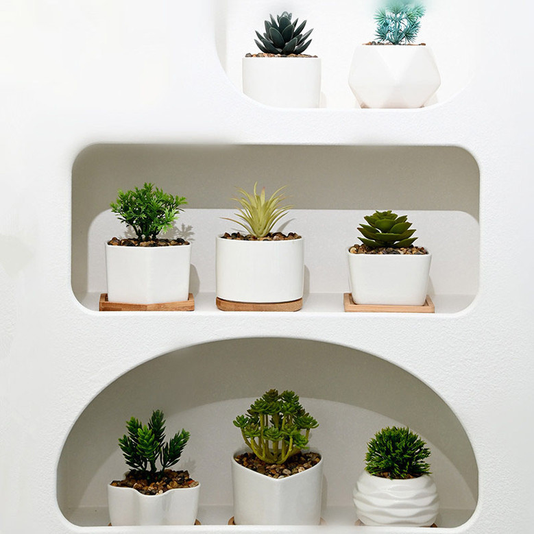 Elegant White Ceramic Plant Pots for Succulent Plants