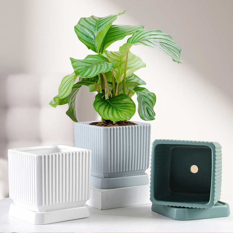 Indoor Square Ceramic Plant Pot Decor with Tray