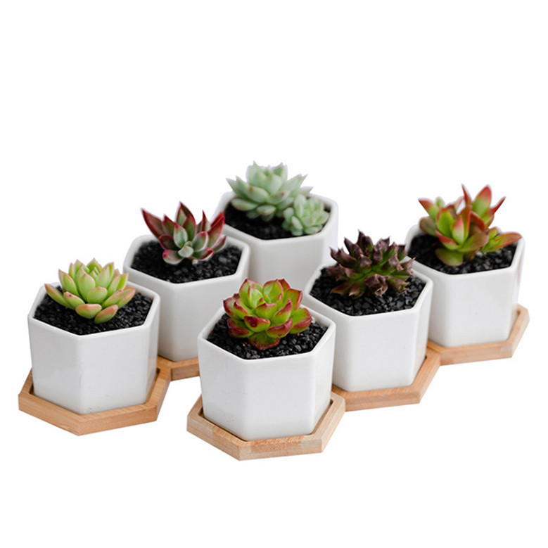 Minimalist Small White Ceramic Plant Pots For Indoor Decor