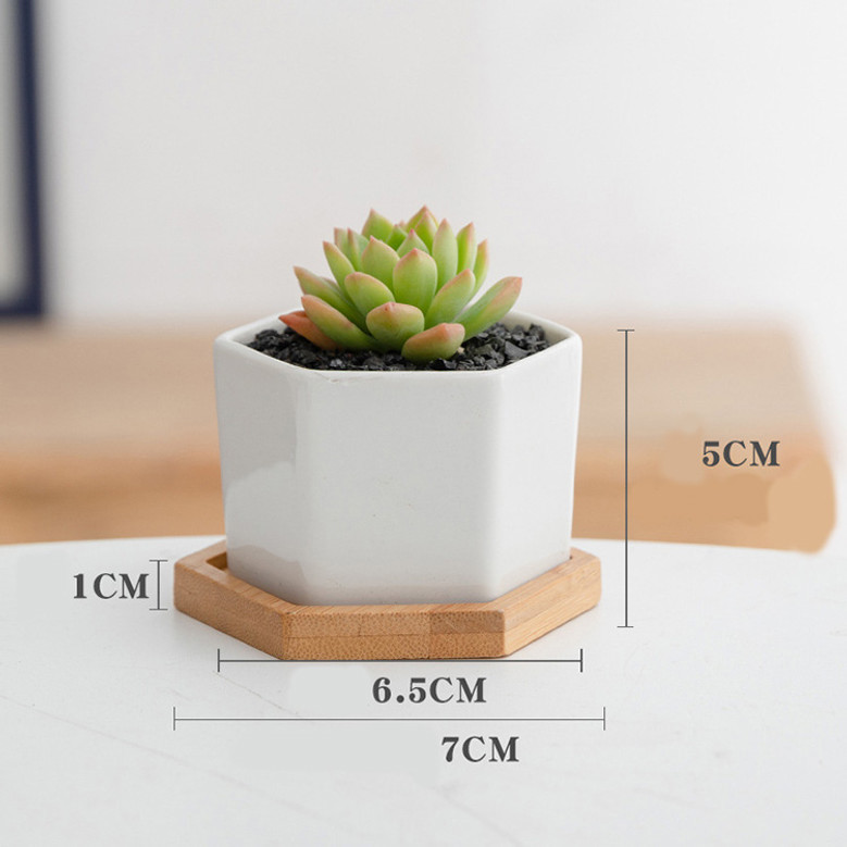 Minimalist Small White Ceramic Plant Pots For Indoor Decor