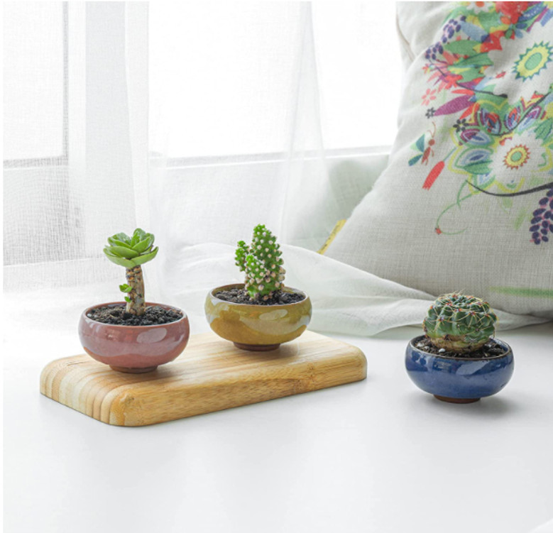 Small Ceramic Plant Pot for Succulents | Home Decor or Perfect Gift