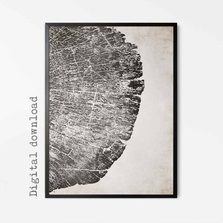 Personalized Tree Ring Canvas Set Of 3 - Modern Neutral Wall Art For Living Room