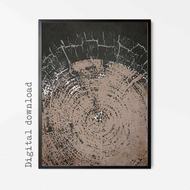 Neutral Tree Ring Canvas For Living Room – Rustic Abstract Art Prints Set Of 3 For Nature Lovers