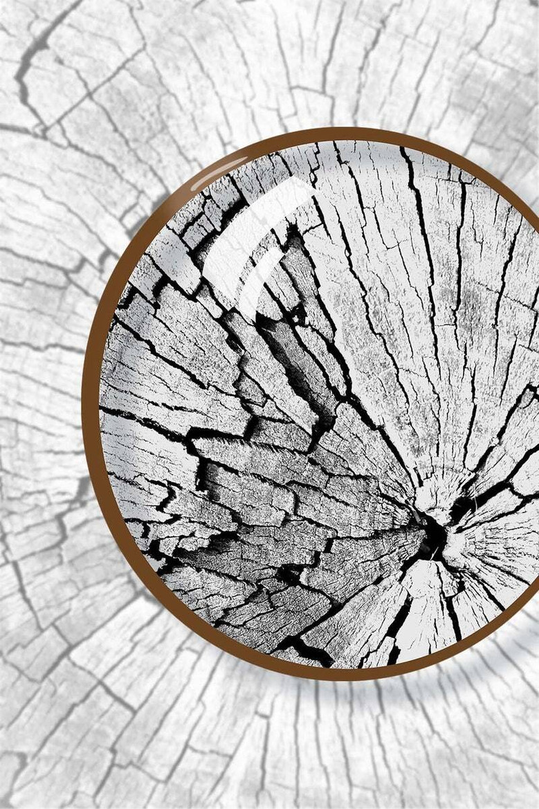 Nordic Tree Ring Canvas For Living Room - Modern Neutral Art Set Of 3