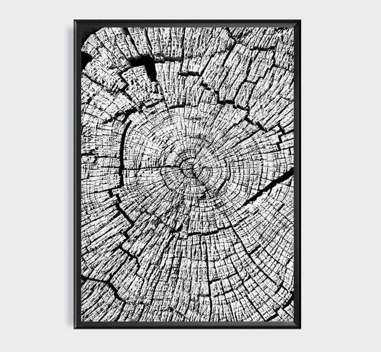 Nordic Tree Ring Canvas For Living Room - Modern Neutral Art Set Of 3