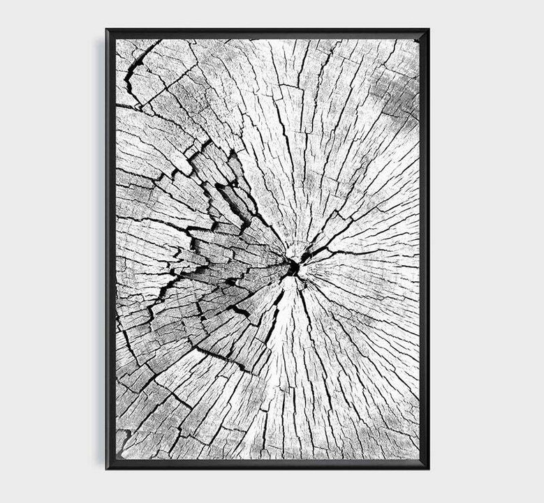 Nordic Tree Ring Canvas For Living Room - Modern Neutral Art Set Of 3