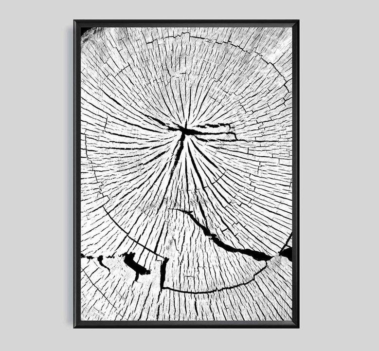 Nordic Tree Ring Canvas For Living Room - Modern Neutral Art Set Of 3