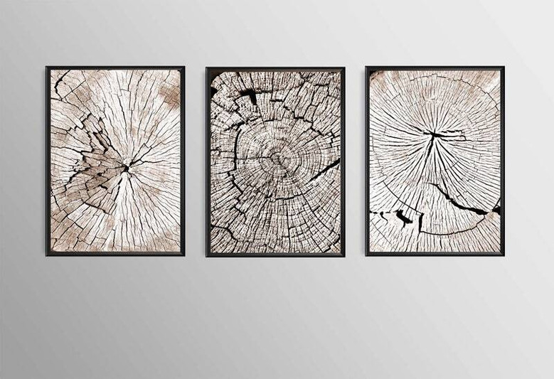 Nordic Tree Ring Canvas For Living Room - Modern Neutral Art Set Of 3