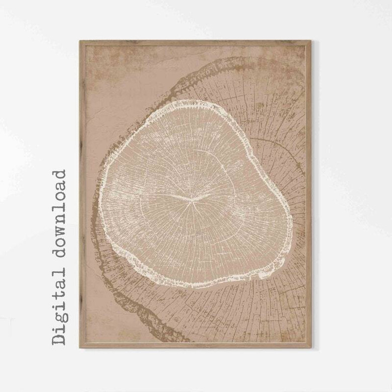 Nordic Tree Ring Canvas Set - 3 Modern Abstract Tree Stump Prints For Neutral Decor